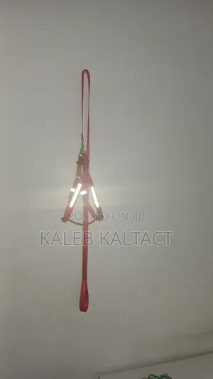 Normal Dog Harness With Reflective Background