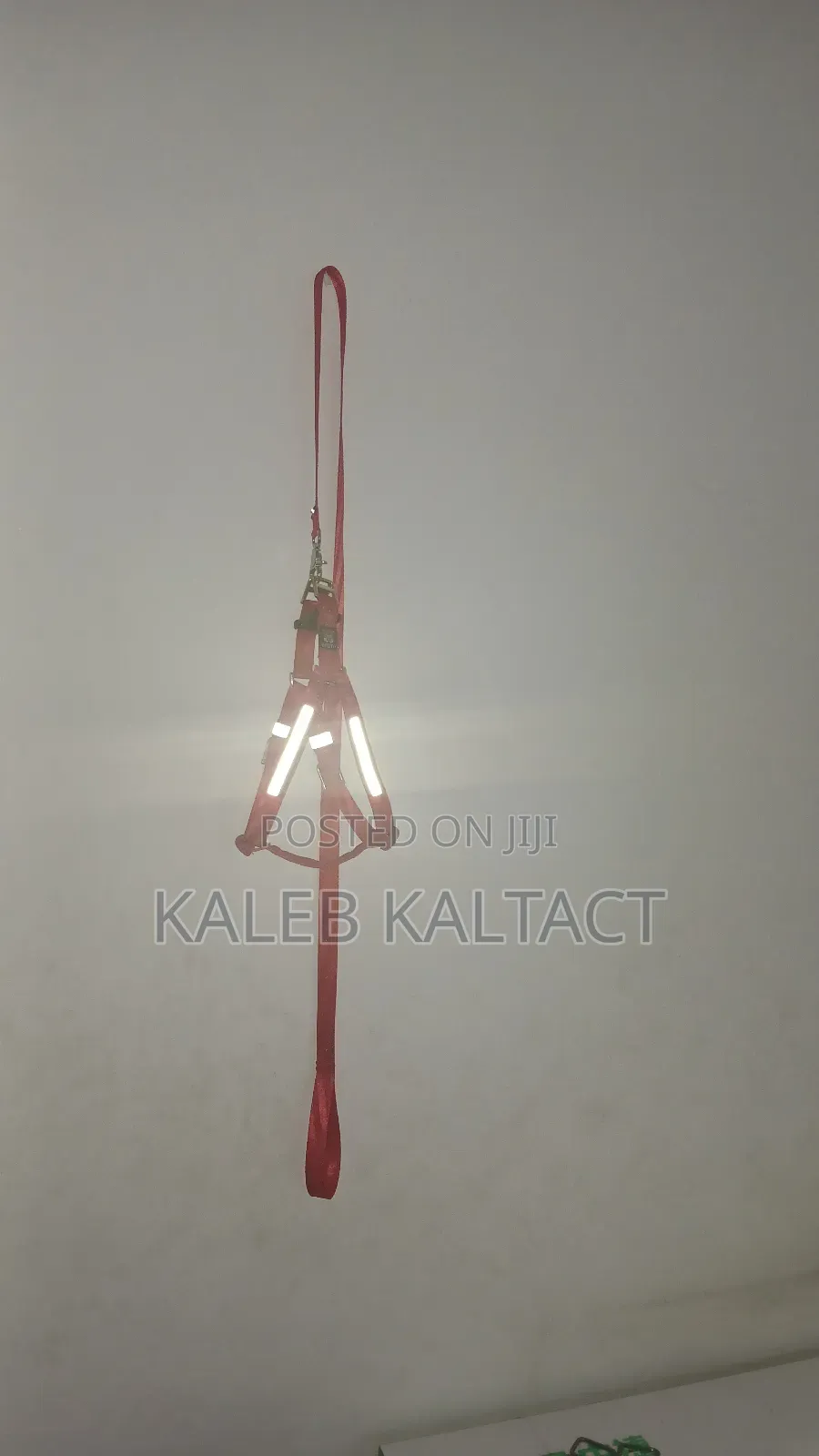 Normal Dog Harness With Reflective Background