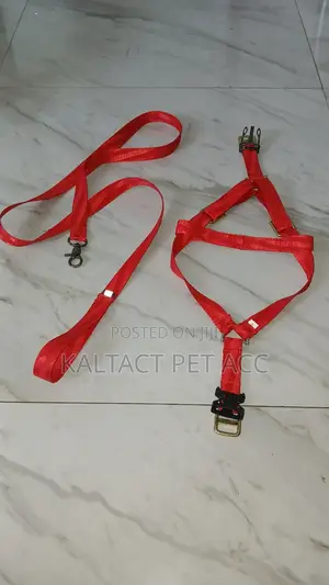 Normal Dog Harness With Reflective Background