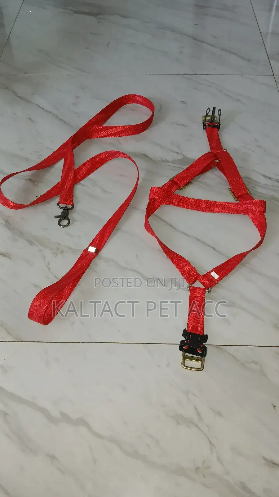 Normal Dog Harness With Reflective Background
