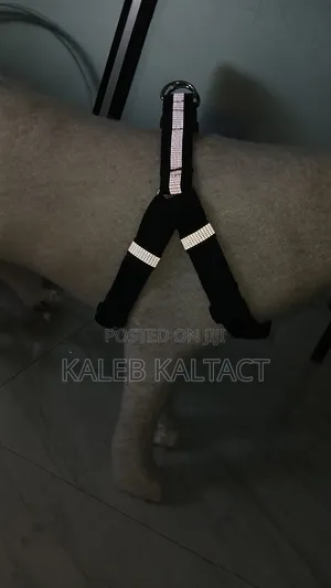 Heavy Duty Normal Dog Harnesses