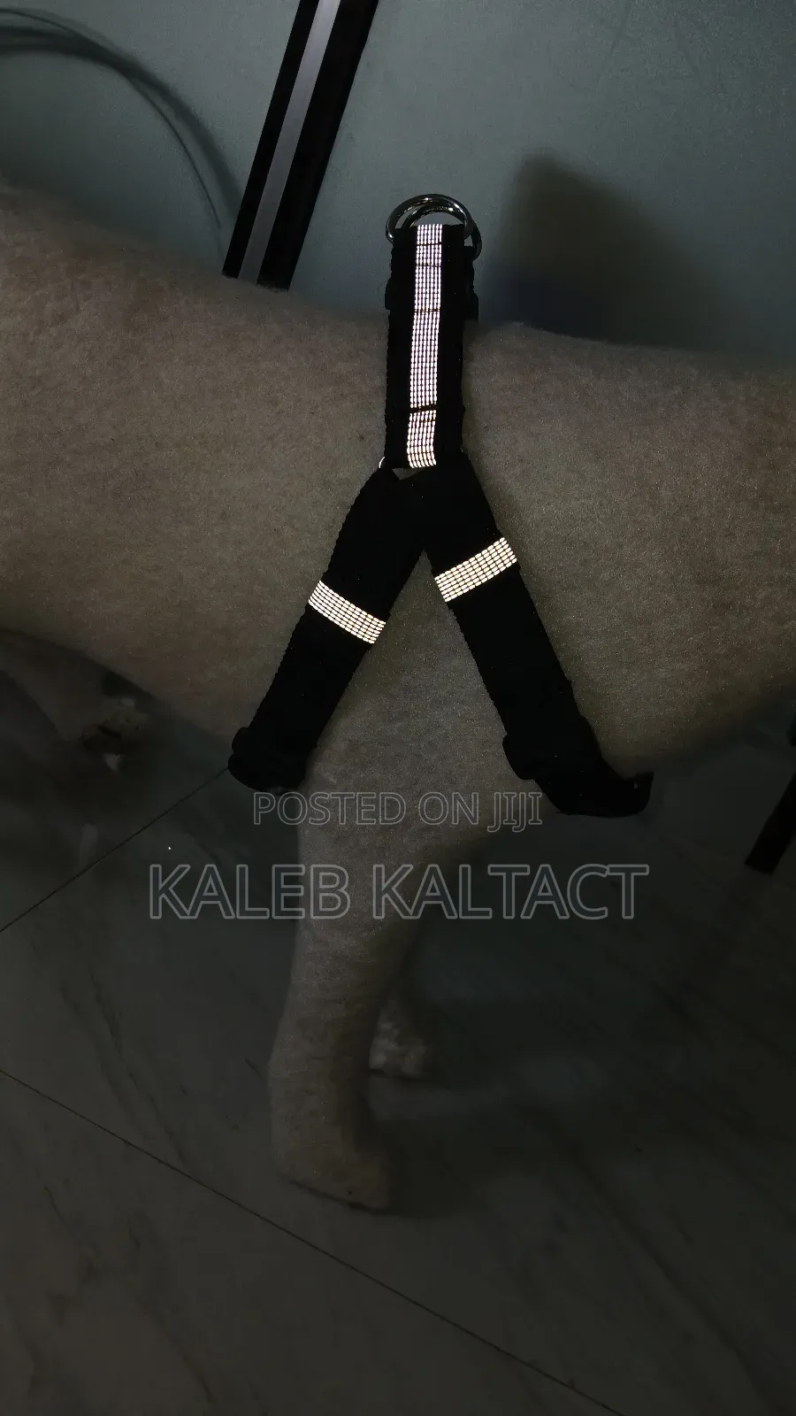 Heavy Duty Normal Dog Harnesses