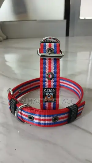 Hevy Duty Adjustable Dog Collars