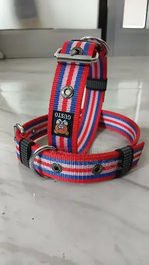 Hevy Duty Adjustable Dog Collars