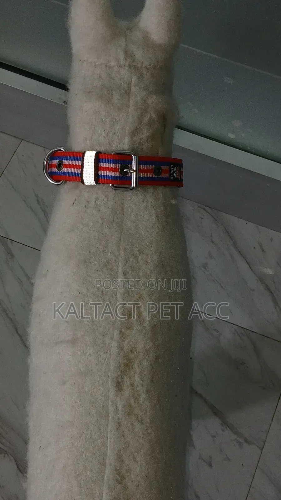 Hevy Duty Adjustable Dog Collars