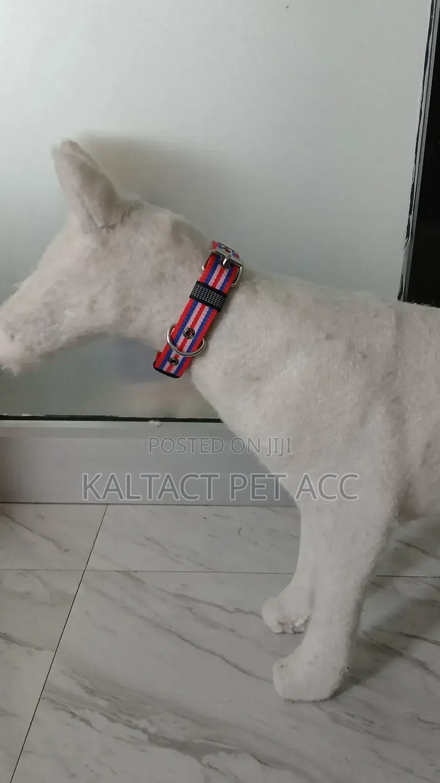 Hevy Duty Adjustable Dog Collars