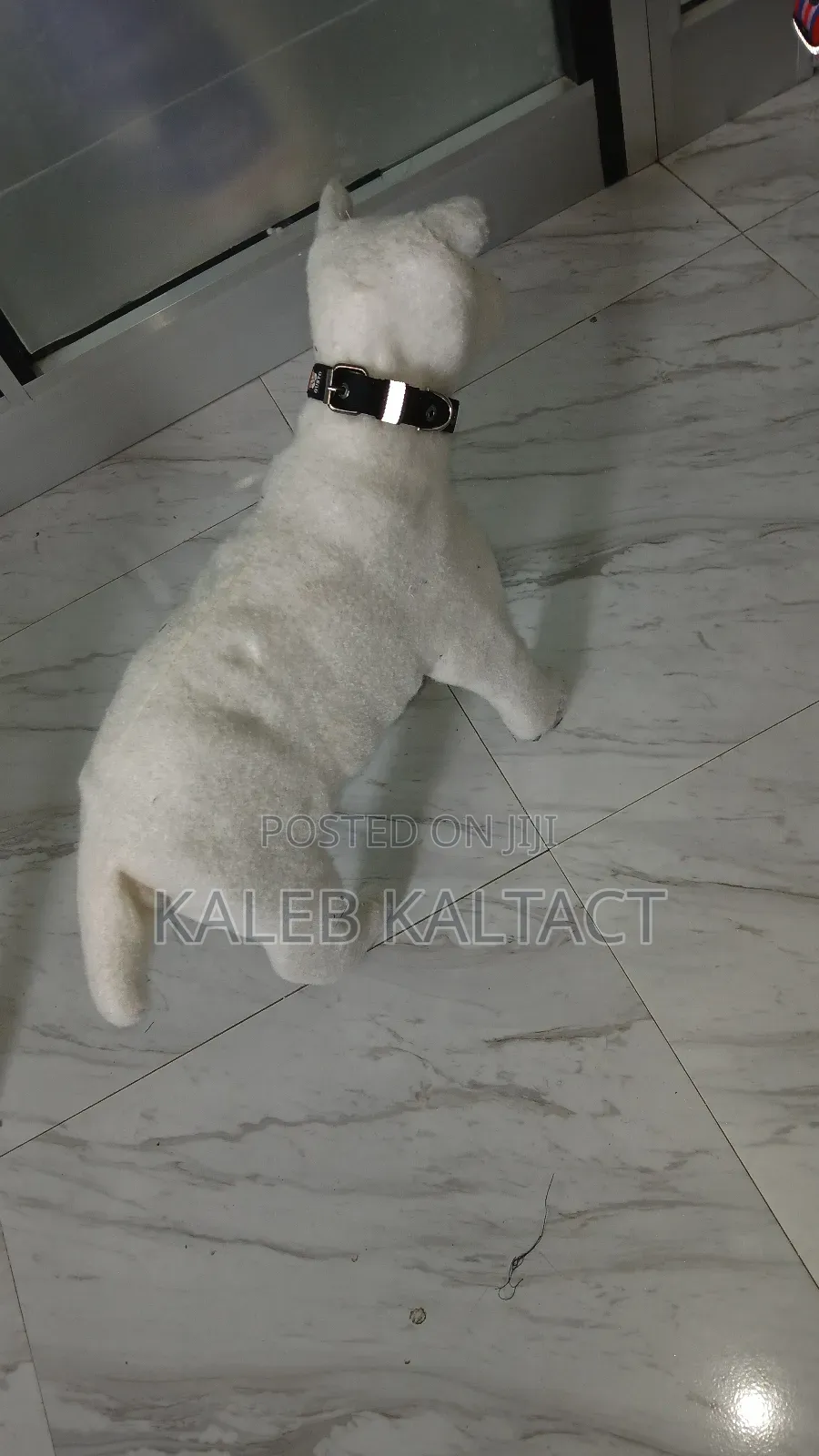 Fancy Collars for Puppets