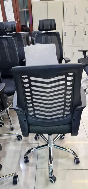 Office and Staff Chair