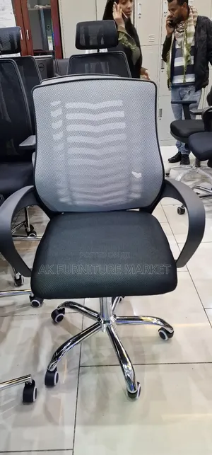 Office and Staff Chair