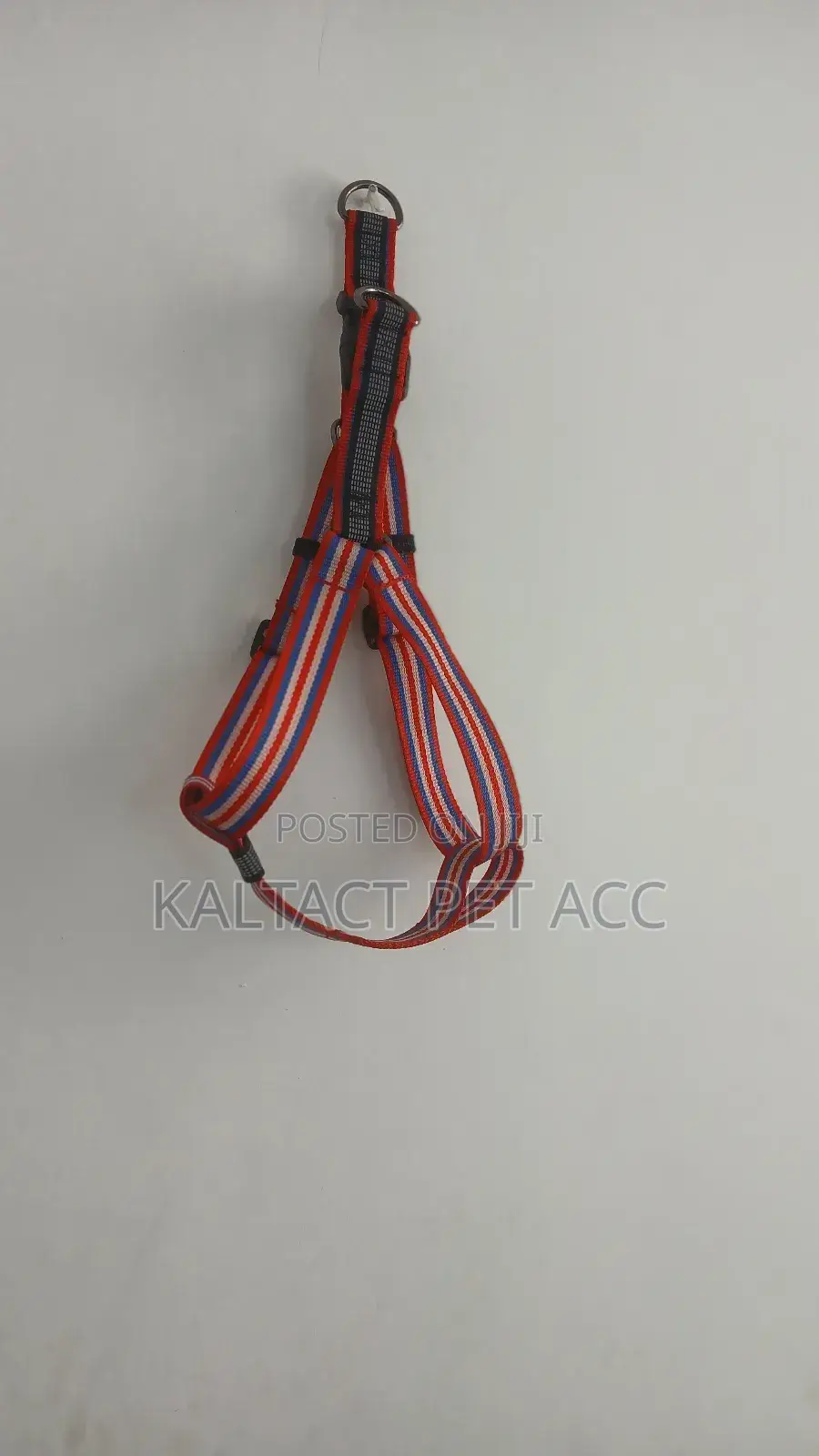 Dog Chest /Strap/Harnesses