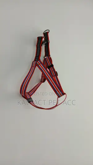 Dog Chest /Strap/Harnesses