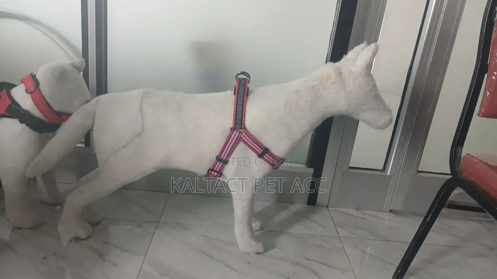 Dog Chest /Strap/Harnesses