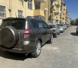 Toyota RAV4 2009 Brown