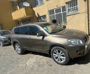 Toyota RAV4 2009 Brown