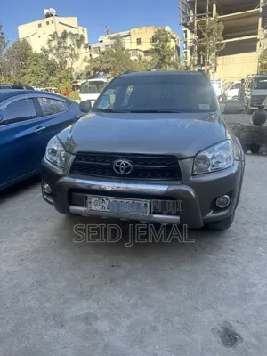 Toyota RAV4 2009 Brown