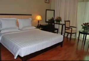Furnished 3bdrm Apartment in Real, Bole for rent