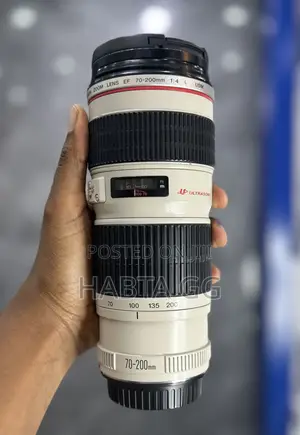 70-200mm Zebra Lens Canon