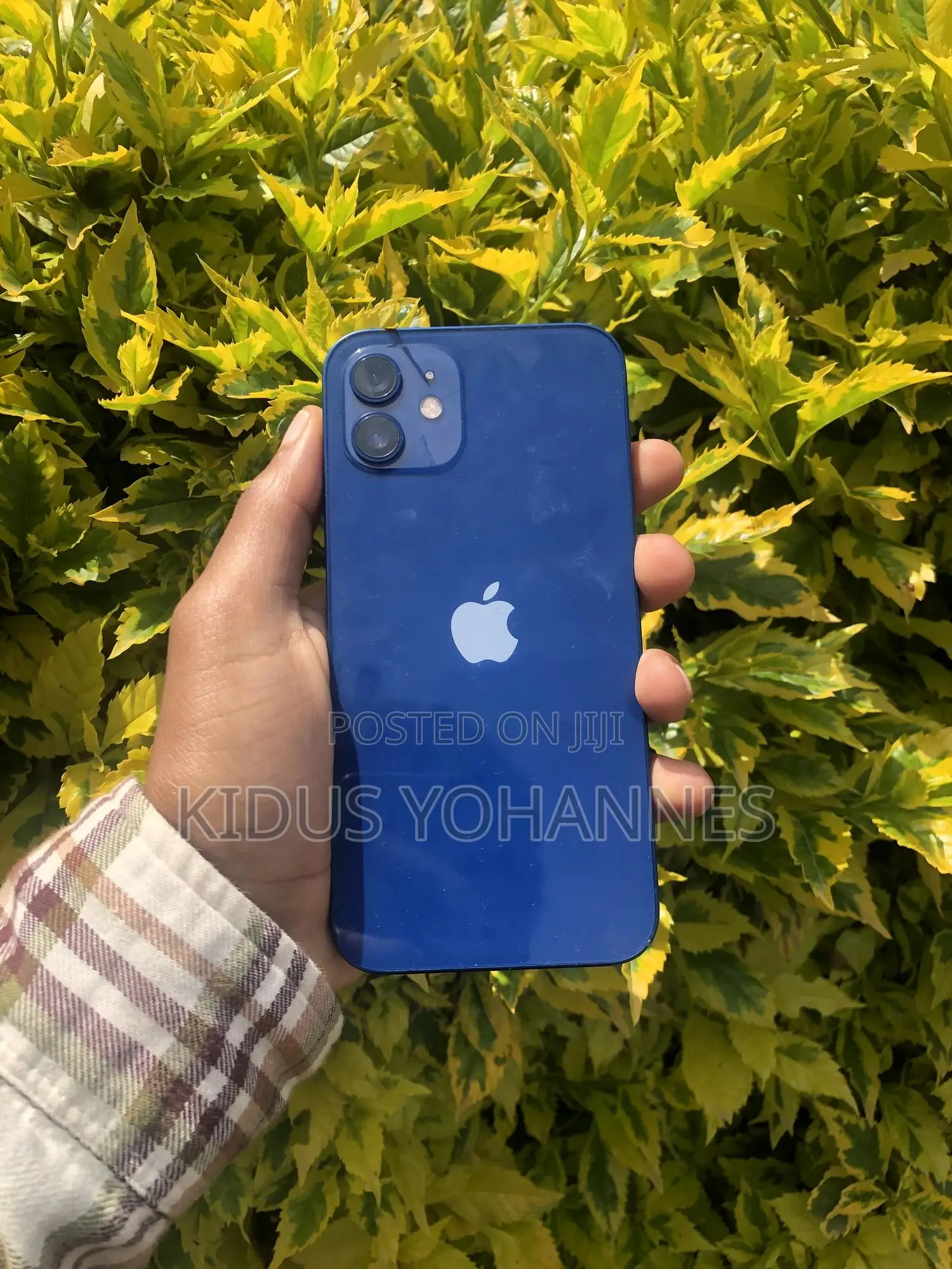 Apple iPhone 12 128 GB Blue