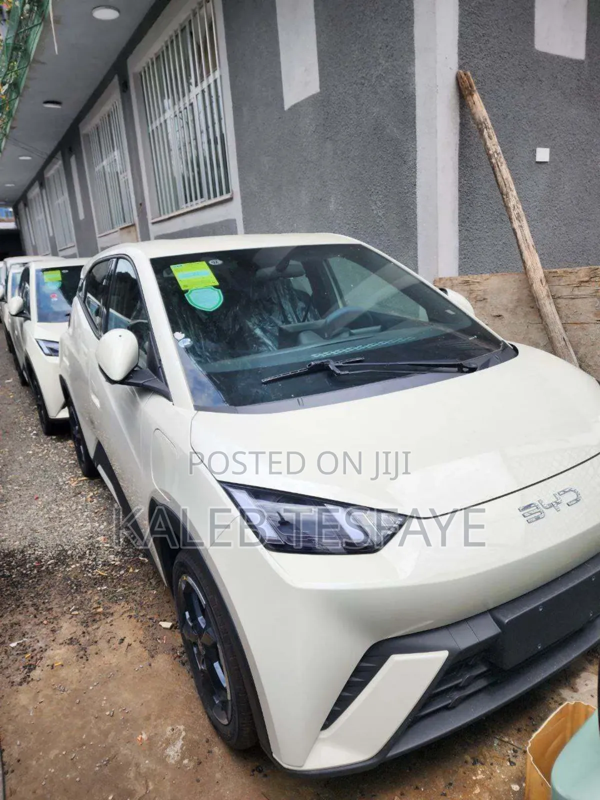 New BYD Seagull 2025 White