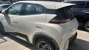 New BYD Seagull 2025 White