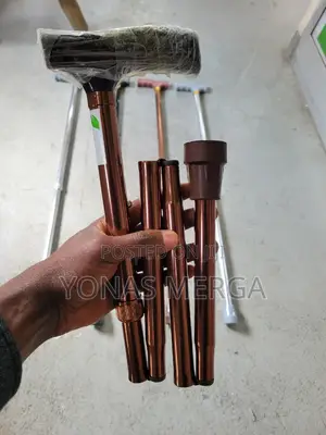 Photo - "Walking Stick"夢回refer to Slightly Different Uses:Canes