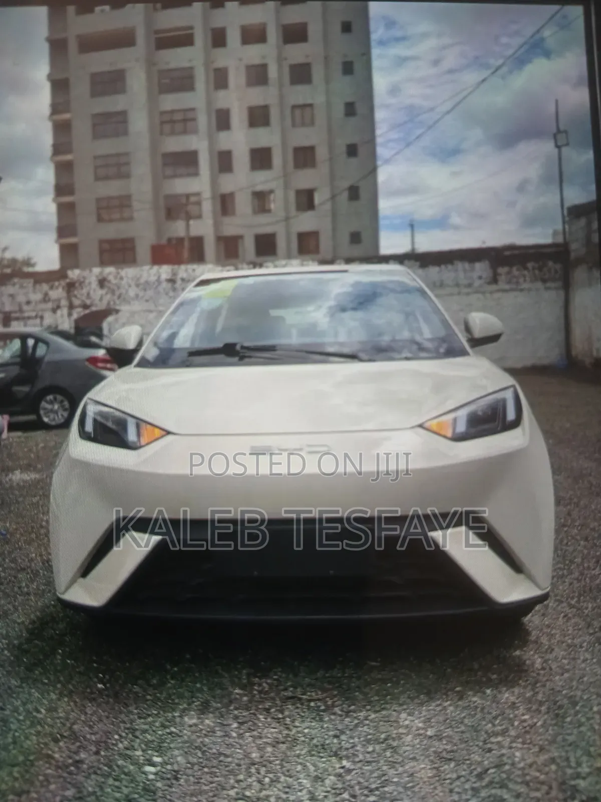 New BYD Seagull 2025 White