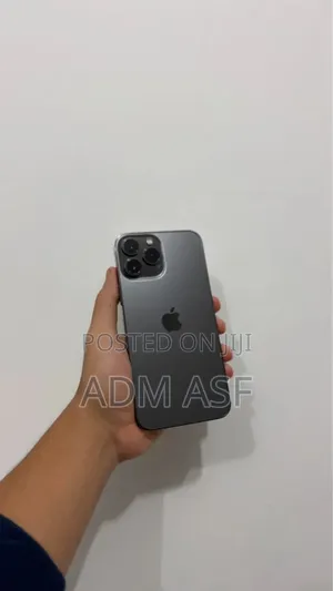 Apple iPhone 13 Pro Max 1 TB Gray
