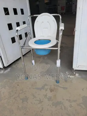 Toilet Chair嵿ةa Stationary Toilet Seat That Folds Out凸也pot