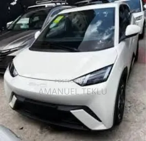 Photo - New BYD Seagull 2025 White