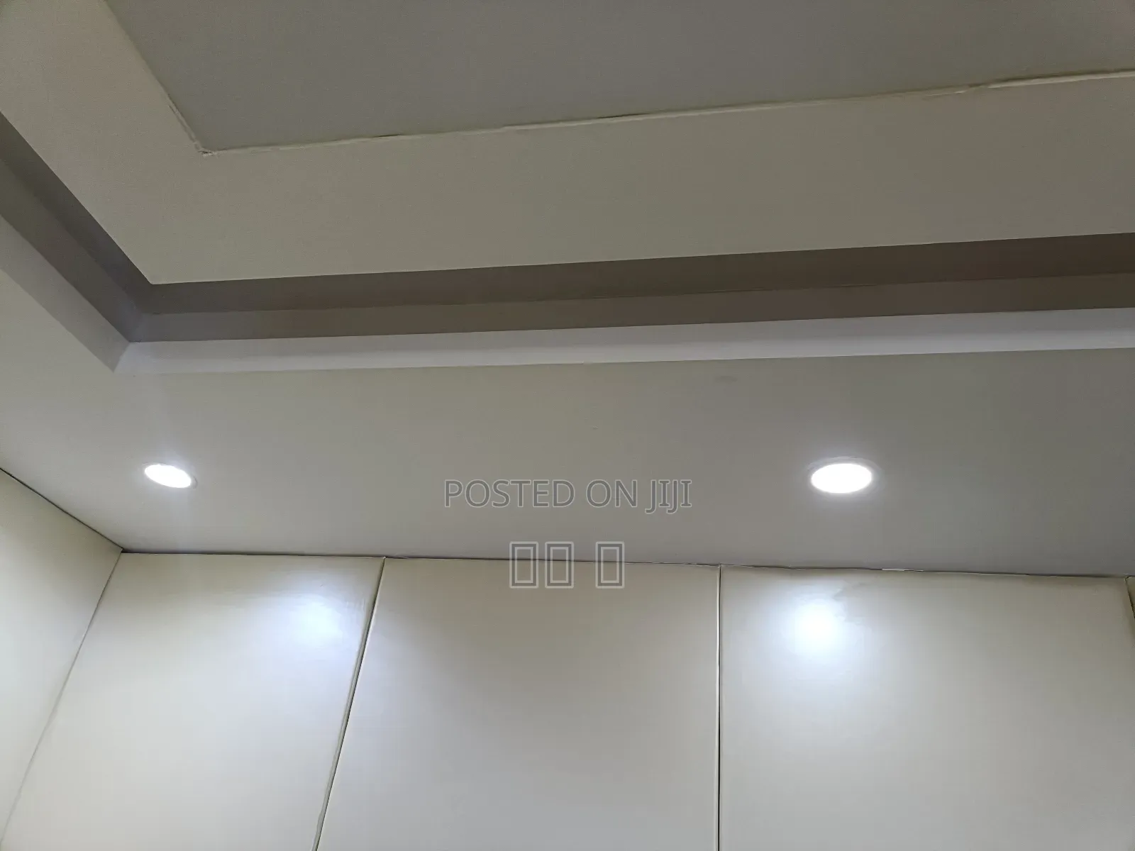 Led Cob Down Light