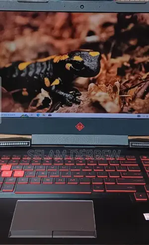 New Laptop HP Omen 15 8GB Intel Core I7 HDD+SSD 1T