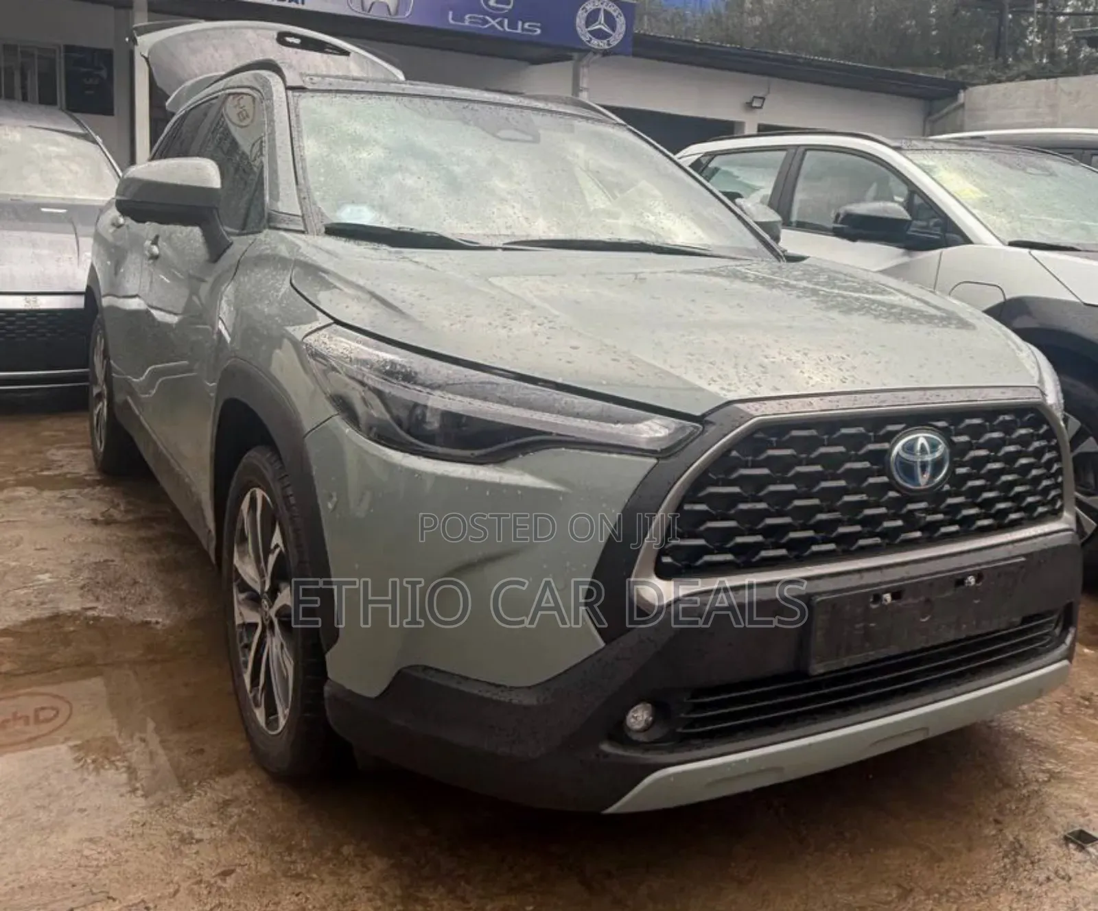 Toyota Corolla Cross Hybrid 2023 Green