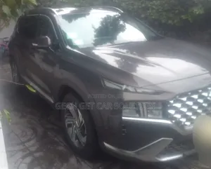 Hyundai Santa Fe 2020 Brown