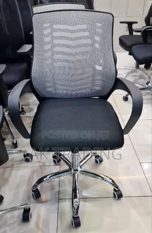 Staff and Office Chair