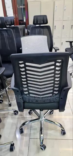 Staff and Office Chair