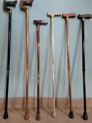 Photo - Walking Stick==No Trace:Slip-Resistant Ferrules Offer Added