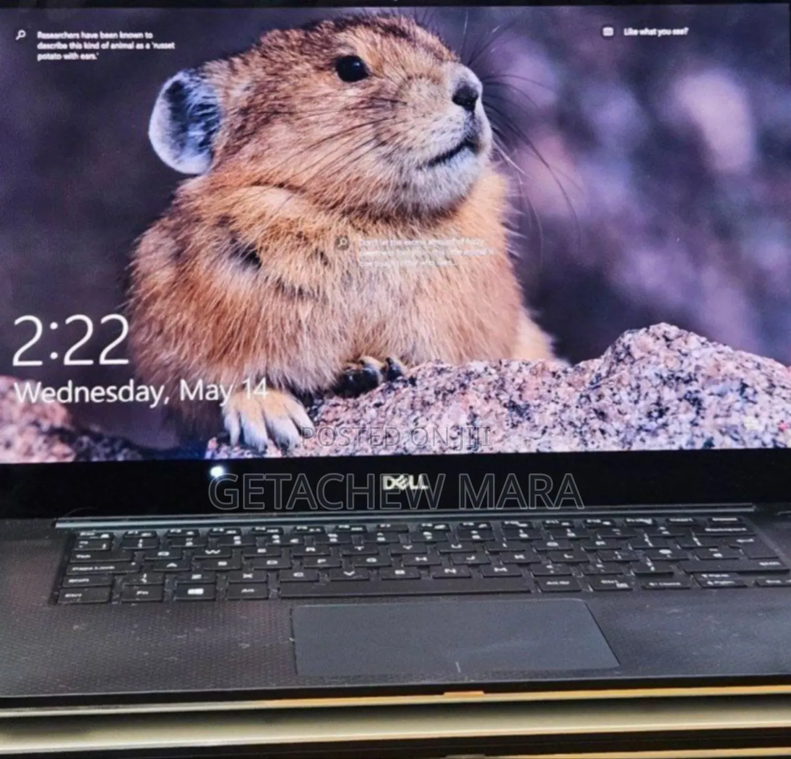 New Laptop Dell XPS 15 16GB Intel Core I5 SSD 512GB