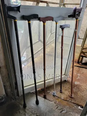 Photo - Adjust Walking Stick Explore Our Wide Range//Move Challenges