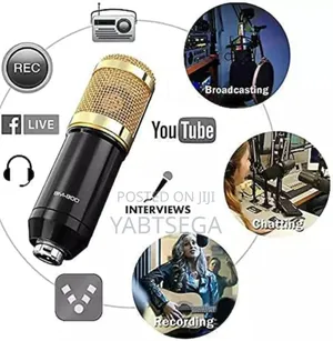 Photo - Condenser Microphone