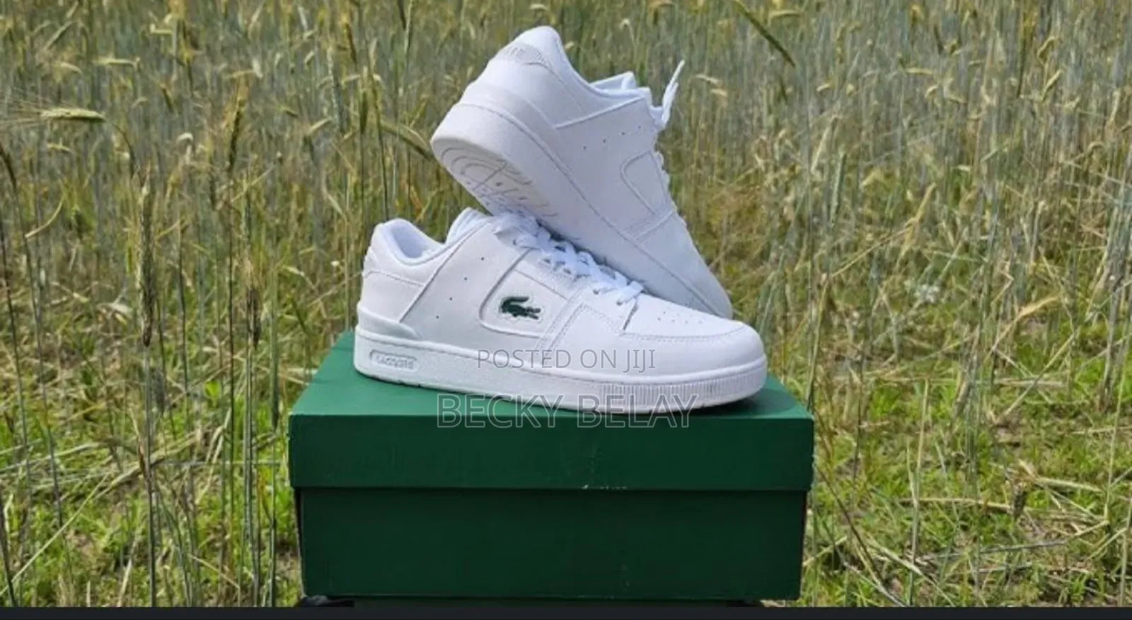 Lacoste Men's Sneaker Shoes