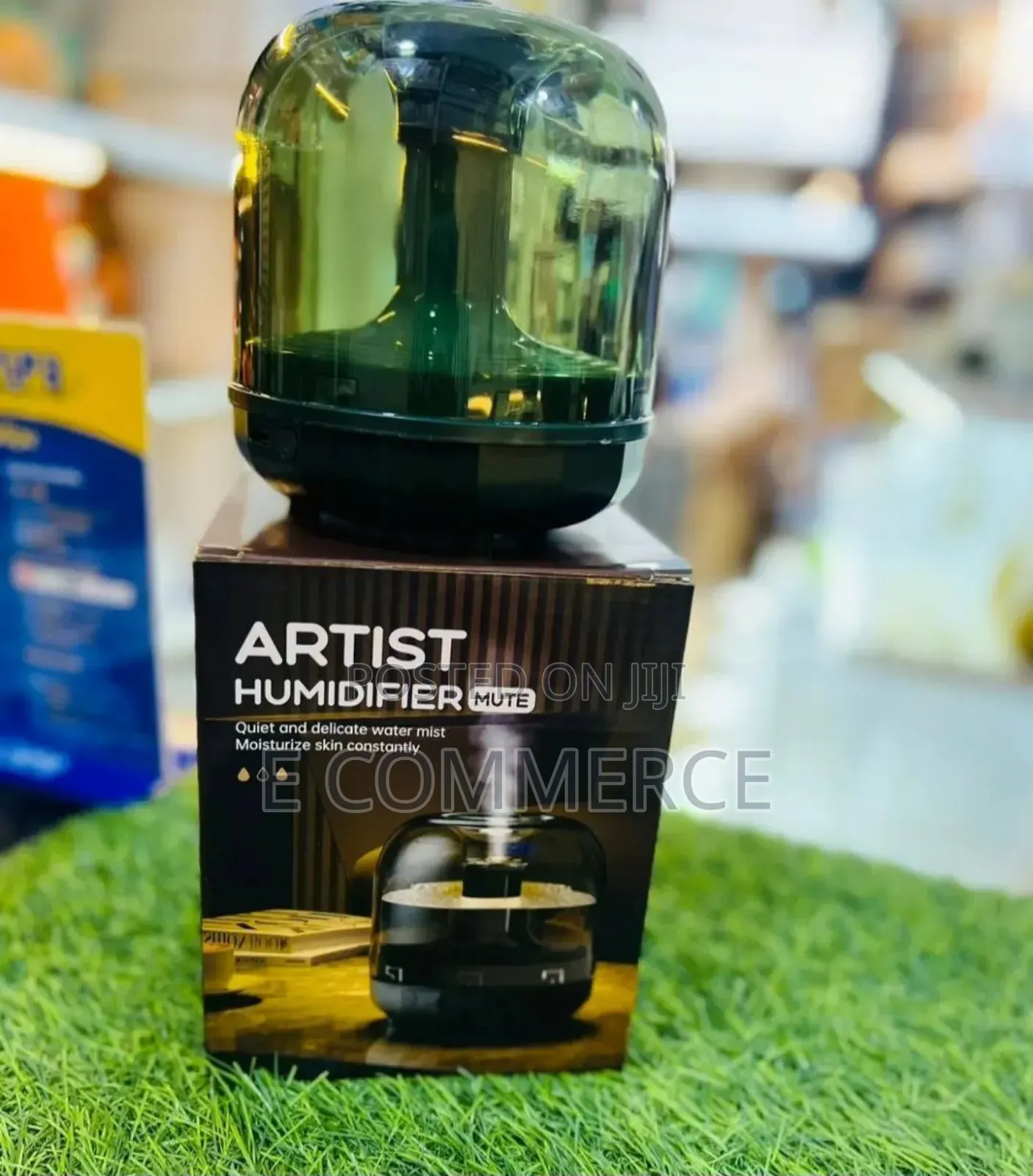 ዘመናዊ የእጣን ማጨሻ "Artist Humidifier"