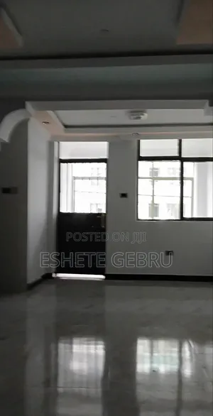 Furnished 2bdrm Condo in 20/80 ኮንዶሚንየም, Bole for sale