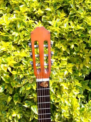 Neylon Box Guitar