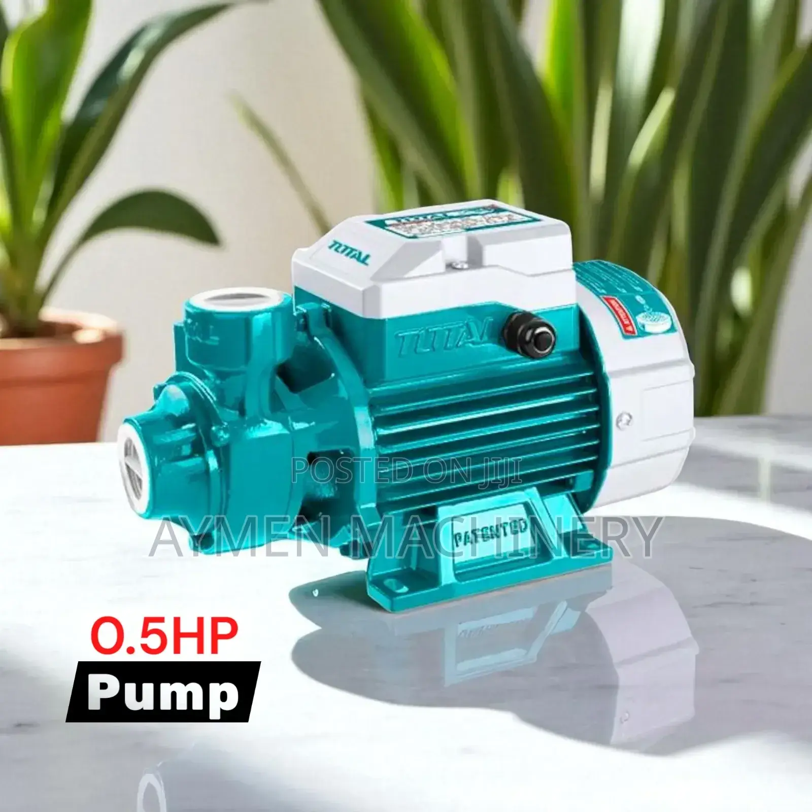 Total 0.5hp Pump ግማሽ የውሀ ፓምፕ