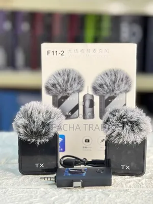 Photo - Wireless Microphone