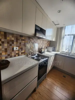 Furnished 2bdrm Apartment in Bole for rent