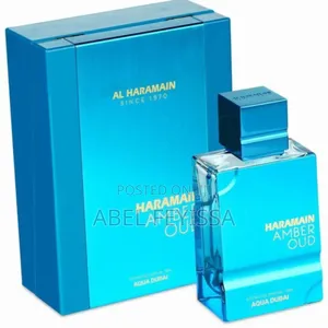 Photo - Al Haramaln Aqua Dubai