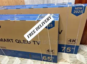 Salvador 65" Qled Ultra Uhd Framless Tv