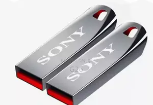 2 Terabyte Sony Flash