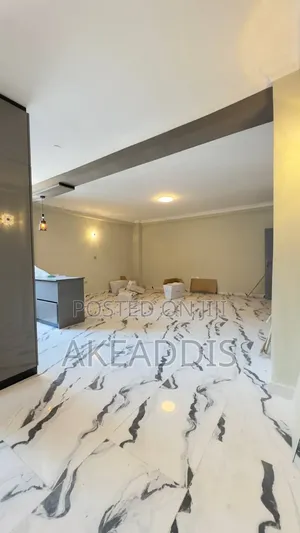 Furnished 3bdrm Condo in Bole Ayat for sale